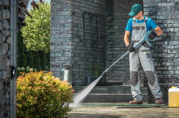 Best Spring Cleaning  in Buffalo Center, IA