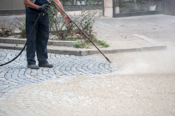 Best Dumpster Area Cleaning  in Buffalo Center, IA
