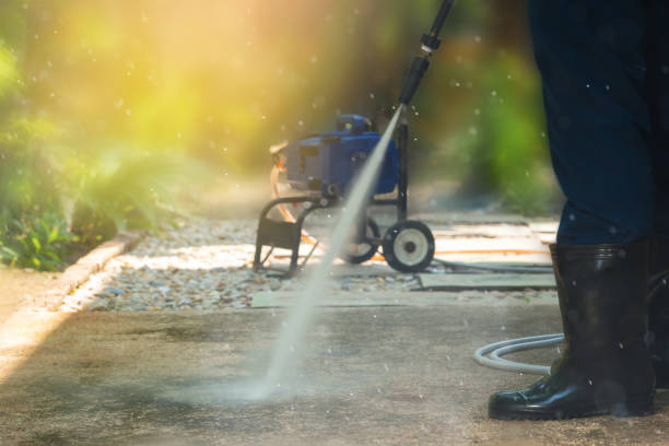 Best Solar Panel Cleaning  in Buffalo Center, IA